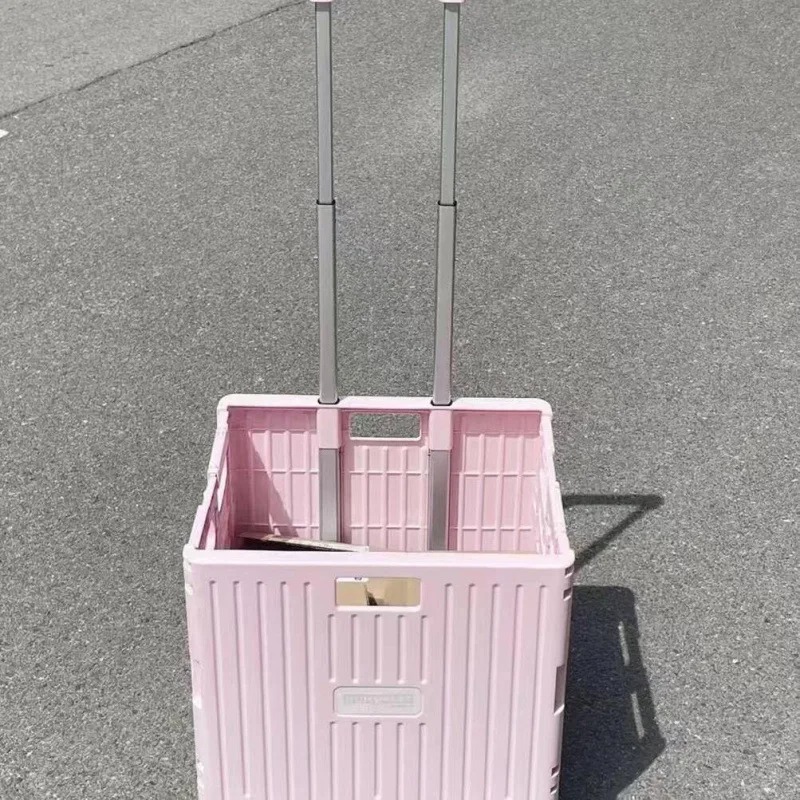 Folding Convenient Supermarket - Outdoor Camping Trolley recension och pris