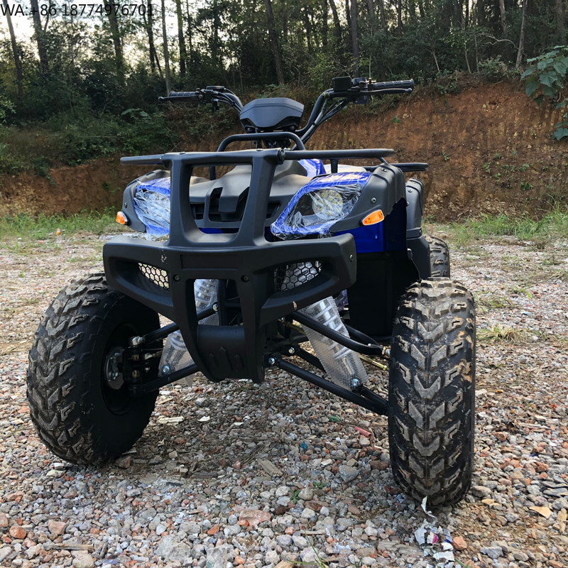 Electric 4 Seater 4WD 4-Stroke - Camping Quad recension och pris