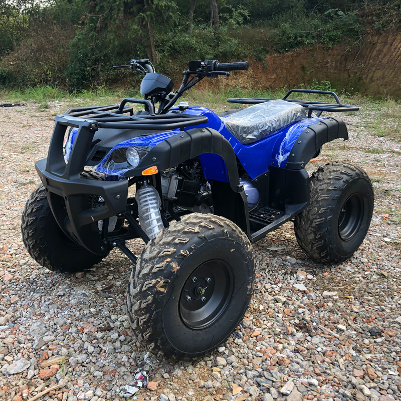 Electric 4 Seater 4WD 4-Stroke - Camping Quad recension och pris