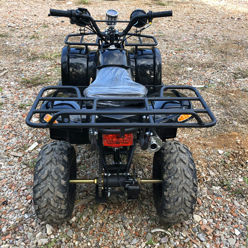 Electric 4 Seater 4WD 4-Stroke - Camping Quad recension och pris