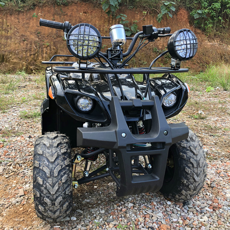 Electric 4 Seater 4WD 4-Stroke - Camping Quad recension och pris
